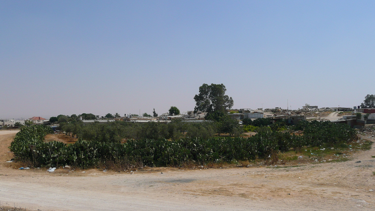 照片 以色列(Israel) 阿什凯隆至阿拉德公路(Ashkelon to Arad road) 2007-06 110