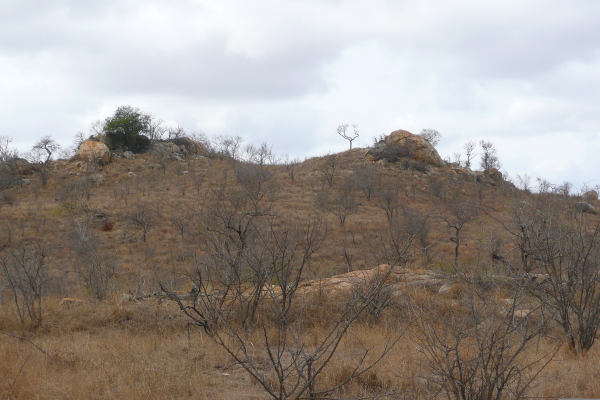 照片 南非(South Africa) 克鲁格国家公园(Kruger National Park) 2008-09 116