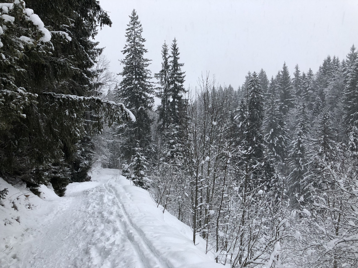 照片 法国(France) 拉克吕萨(La Clusaz) 2017-12 191