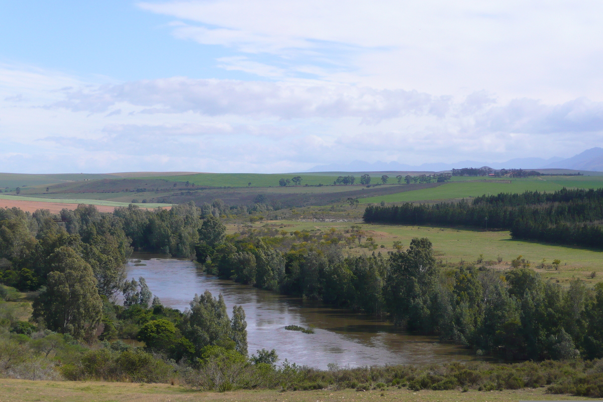 照片 南非(South Africa) 赫曼努斯至克尼斯纳公路(Harmanus to Knysna road) 2008-09 96