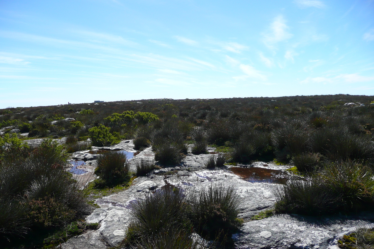 照片 南非(South Africa) 开普敦(Cape Town) 桌山(Table Mountain) 2008-09 118
