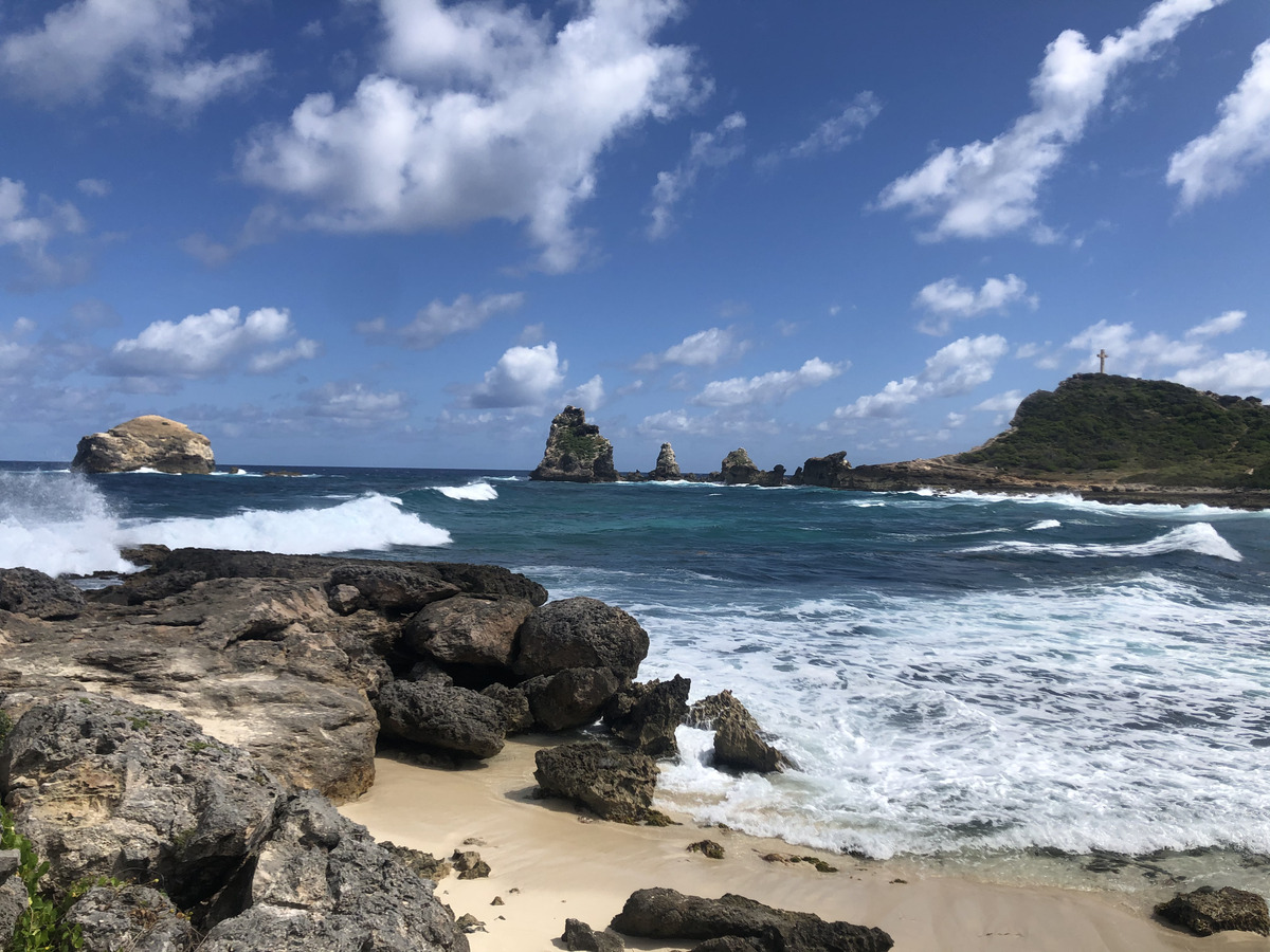 照片 瓜德罗普(Guadeloupe) 城堡角(Castle Point) 2021-02 283