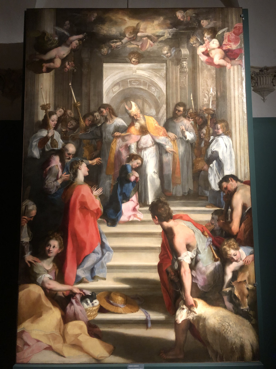 照片 意大利(Italy) 乌尔比诺(Urbino) 2024-09 461