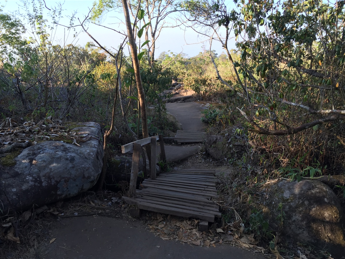 照片 泰国(Thailand) 普欣隆卡国家公园(Phu Hin Rong Kla National Park) 2014-12 310