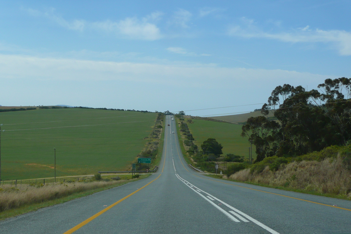 照片 南非(South Africa) 赫曼努斯至克尼斯纳公路(Harmanus to Knysna road) 2008-09 82