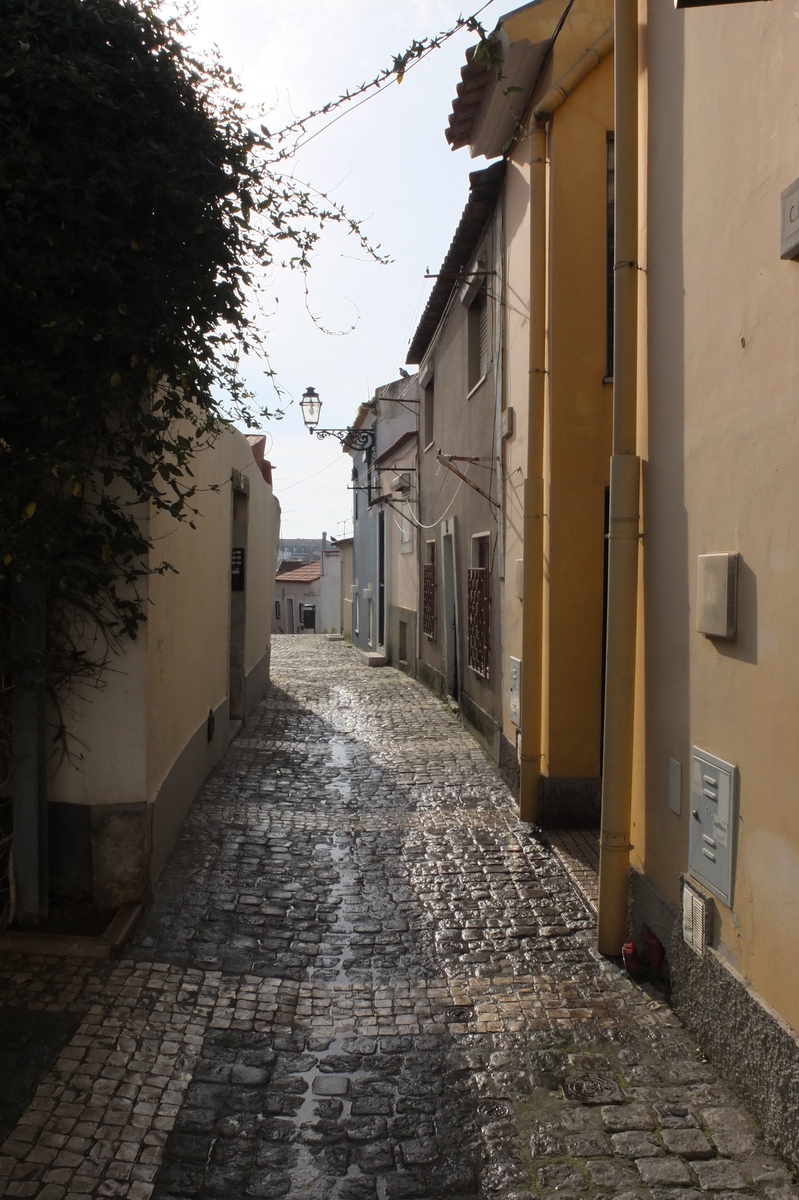照片 葡萄牙(Portugal) 里斯本(Lisbon) 2013-01 339