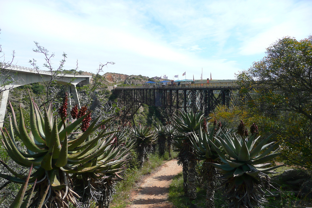 照片 南非(South Africa) 赫曼努斯至克尼斯纳公路(Harmanus to Knysna road) 2008-09 41