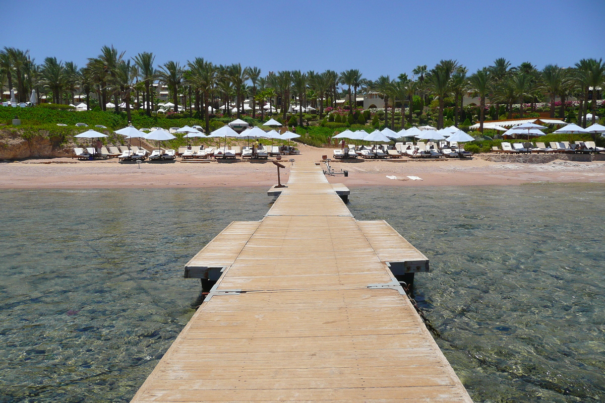 照片 埃及(Egypt) 沙姆沙伊赫(Sharm el Sheikh) 四季酒店(Four Seasons Hotel) 四季酒店海滩(Four Seasons Beach) 2008-06 55