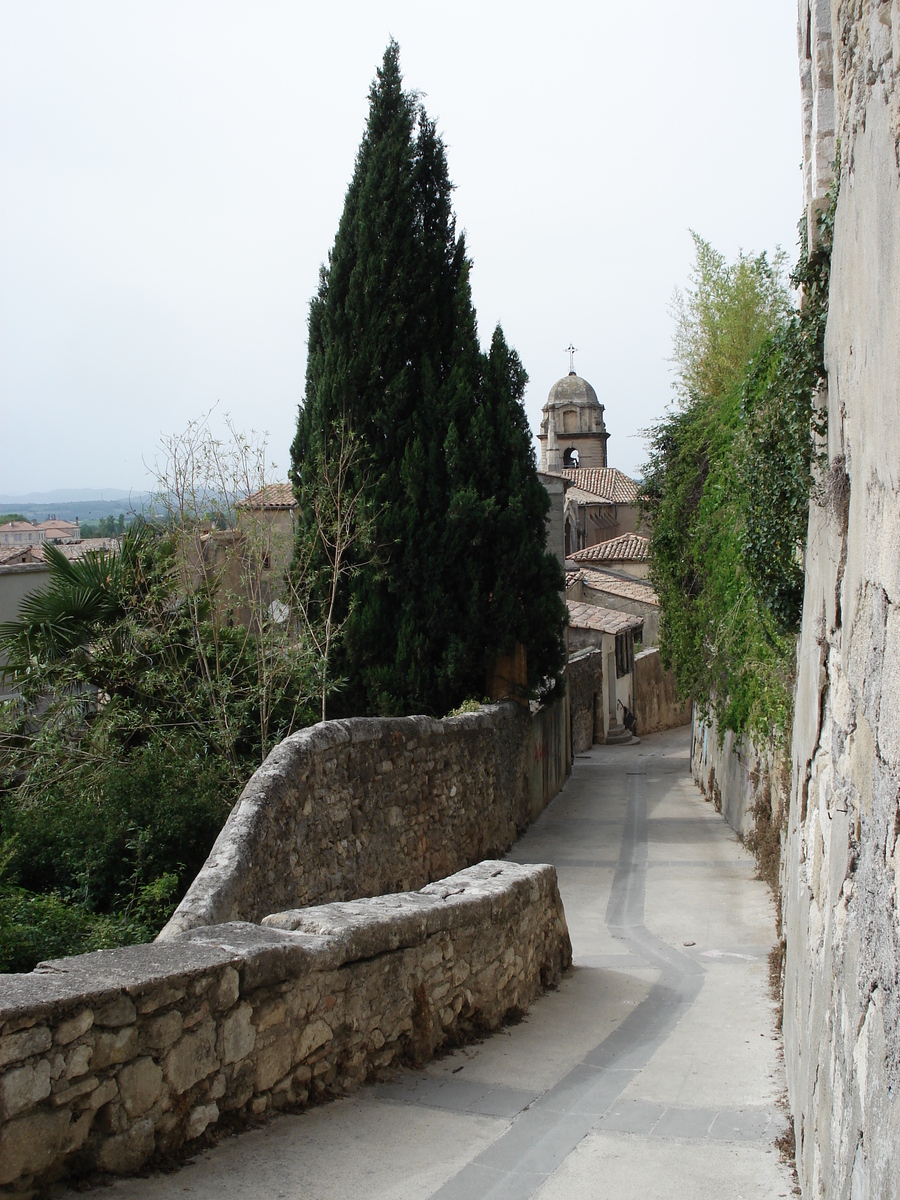 照片 法国(France) 索米耶尔(Sommieres) 2006-06 61