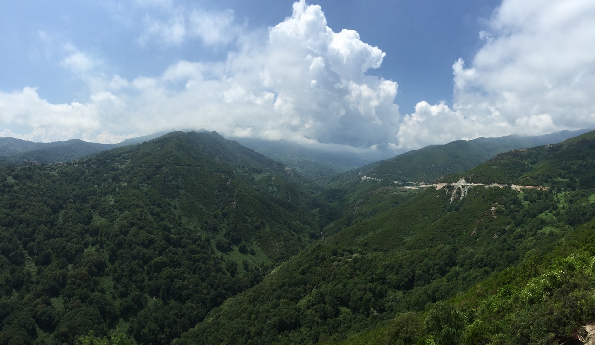 照片 法国(France) 科西嘉岛(Corsica) 卡斯塔尼恰(Castagniccia) 2015-05 3