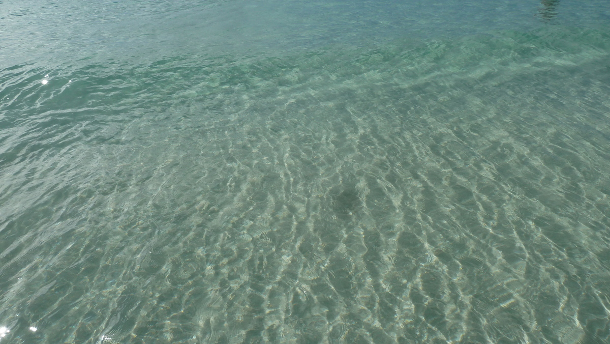 照片 塞舌尔(Seychelles) 拉齐奥湾(Anse Lazio) 2011-10 177