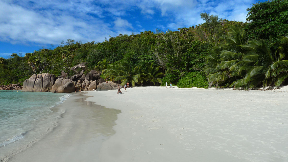 照片 塞舌尔(Seychelles) 拉齐奥湾(Anse Lazio) 2011-10 188