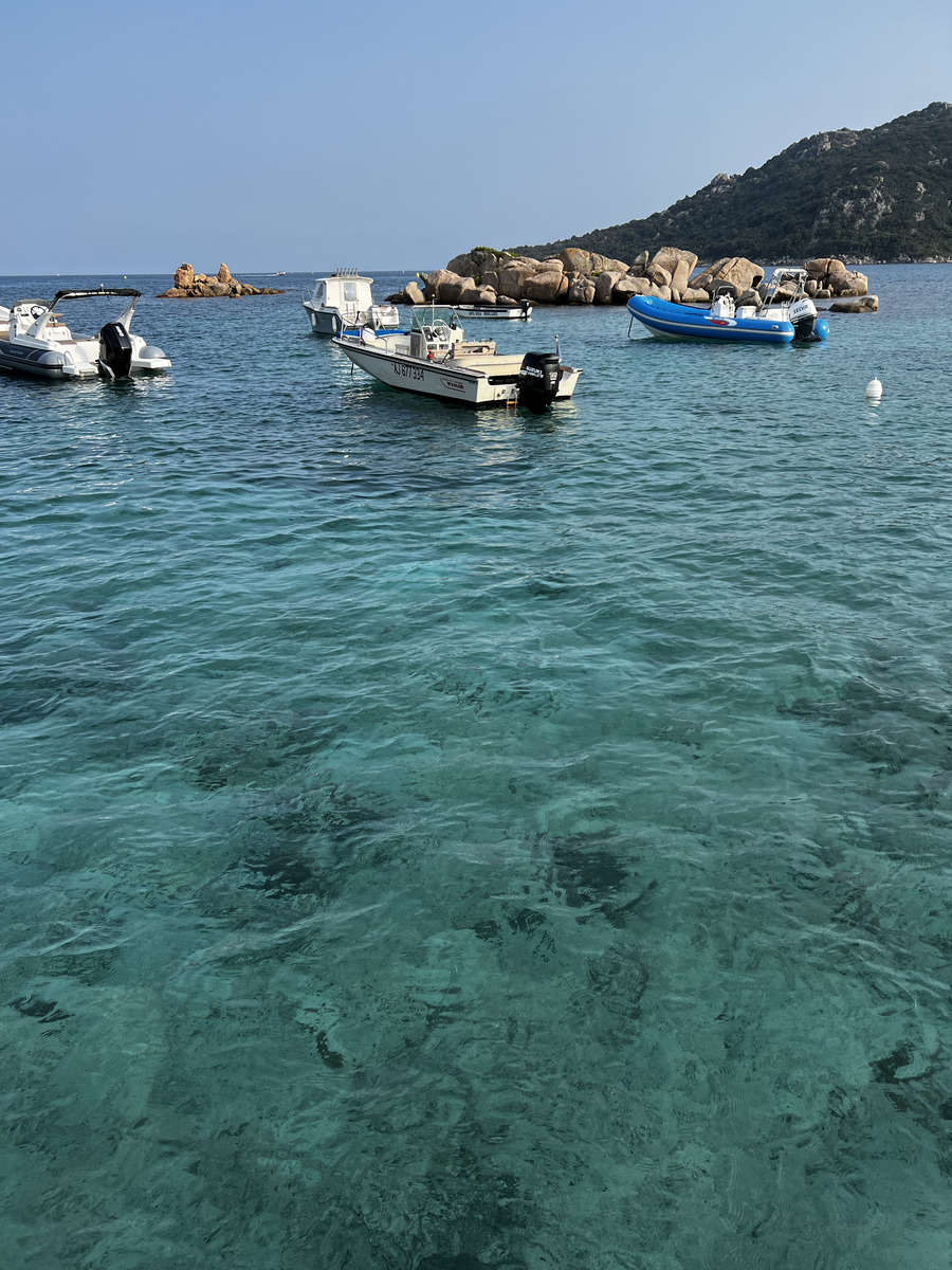 照片 法国(France) 科西嘉岛(Corsica) 圣朱莉亚海滩(Santa Giulia Beach) 2023-06 21