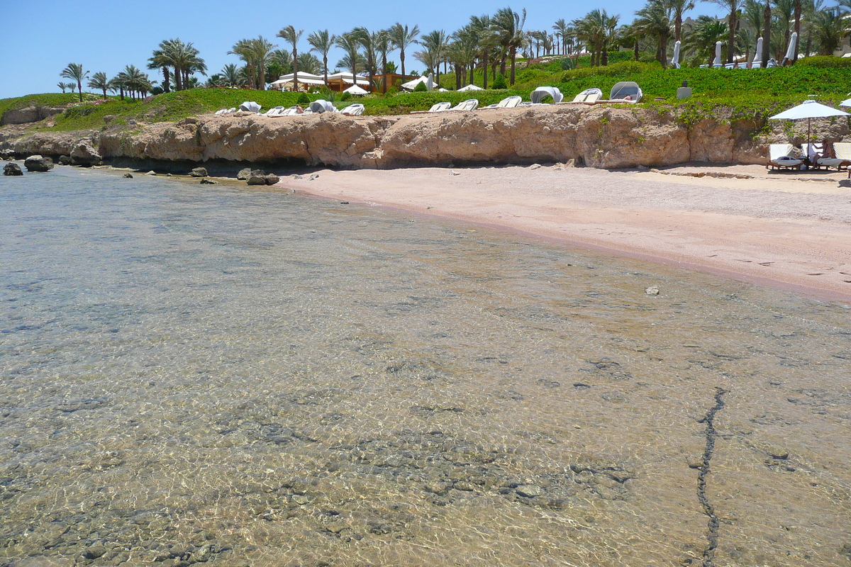 照片 埃及(Egypt) 沙姆沙伊赫(Sharm el Sheikh) 四季酒店(Four Seasons Hotel) 四季酒店海滩(Four Seasons Beach) 2008-06 38