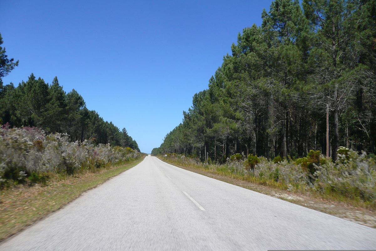照片 南非(South Africa) 克尼斯纳至伊丽莎白港公路(Knysna to Port Elizabeth road) 2008-09 23