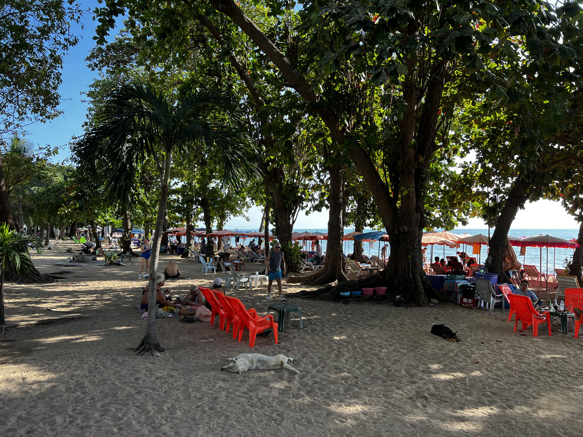 照片 泰国(Thailand) 芭提雅(Pattaya) 2022-12 39