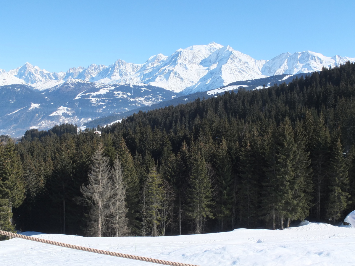 照片 法国(France) 孔布卢(Combloux) 2012-02 118