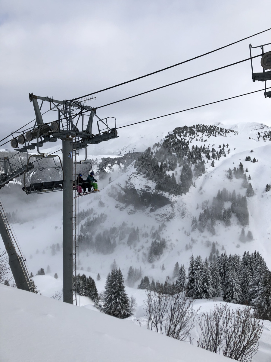 照片 法国(France) 阿尔利河畔普拉(Praz sur Arly) 2019-12 99