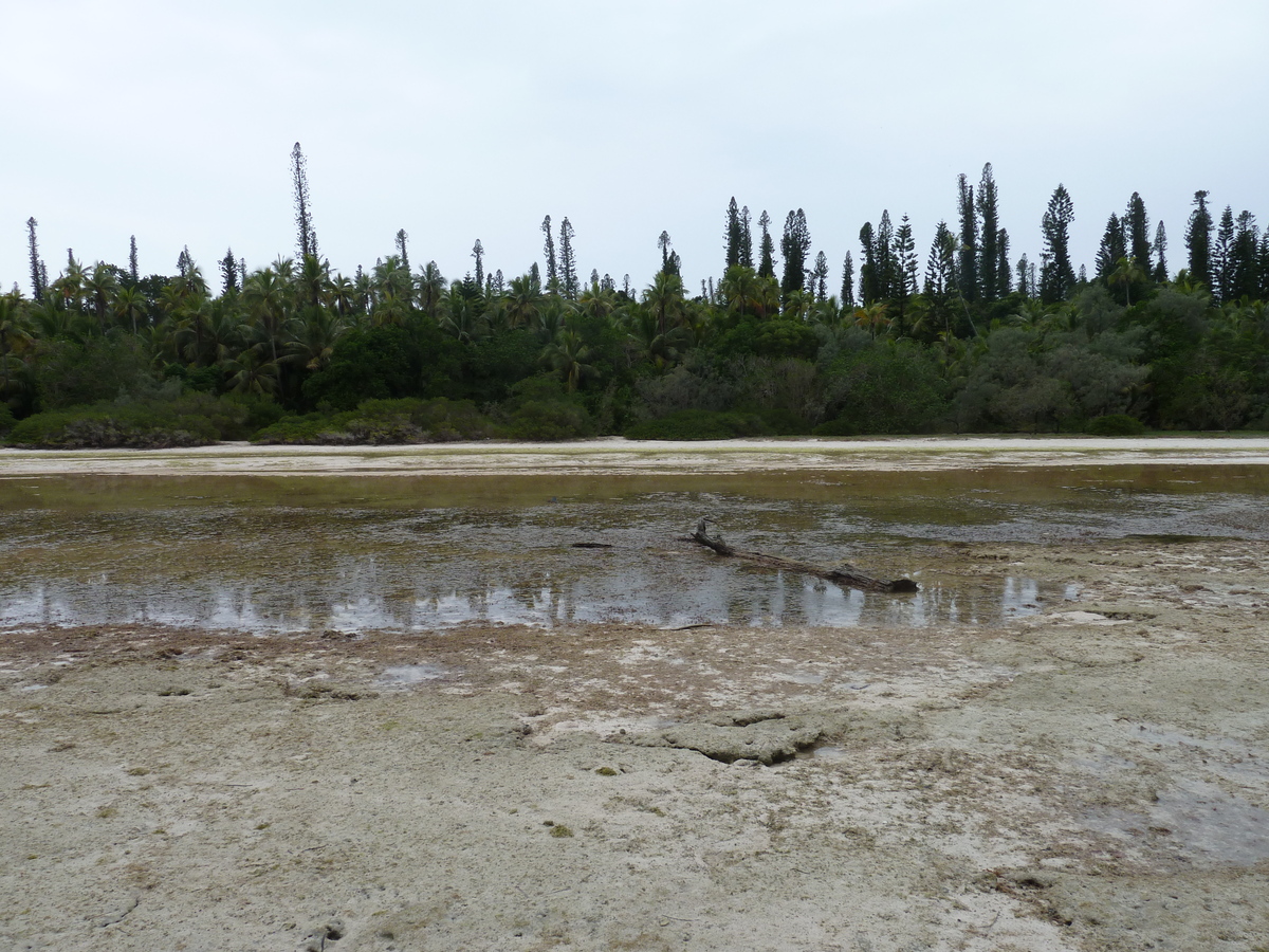 照片 新喀里多尼亚(New Caledonia) 松树岛(Ile des pins) 奥罗湾(Oro Bay) 2010-05 38