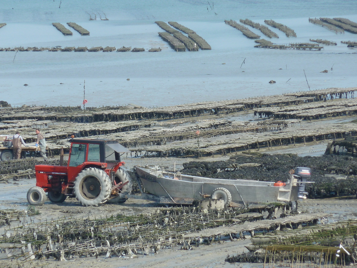 照片 法国(France) 康卡勒(Cancale) 2010-04 28