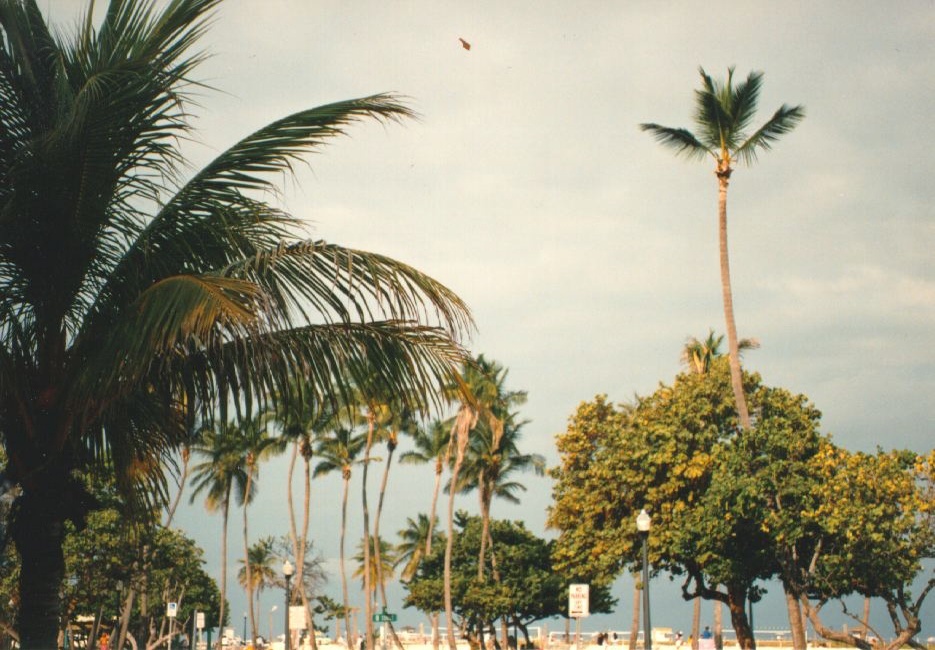 照片 美国(United States) 迈阿密海滩(Miami Beach) 1991-11 31