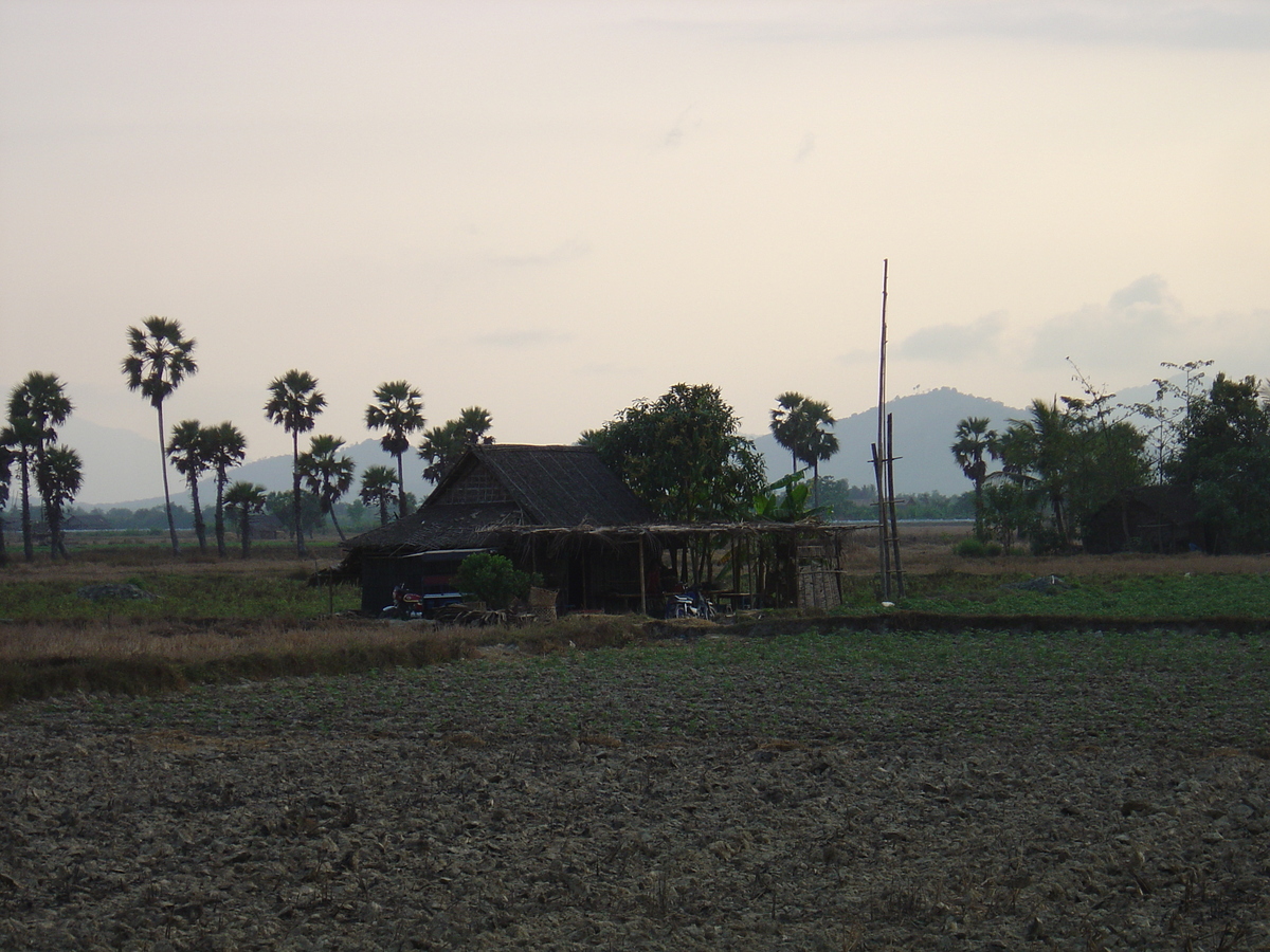 照片 缅甸(Myanmar) 土瓦至茂马干海滩公路(Road from Dawei to Maungmagan beach) 2005-01 41