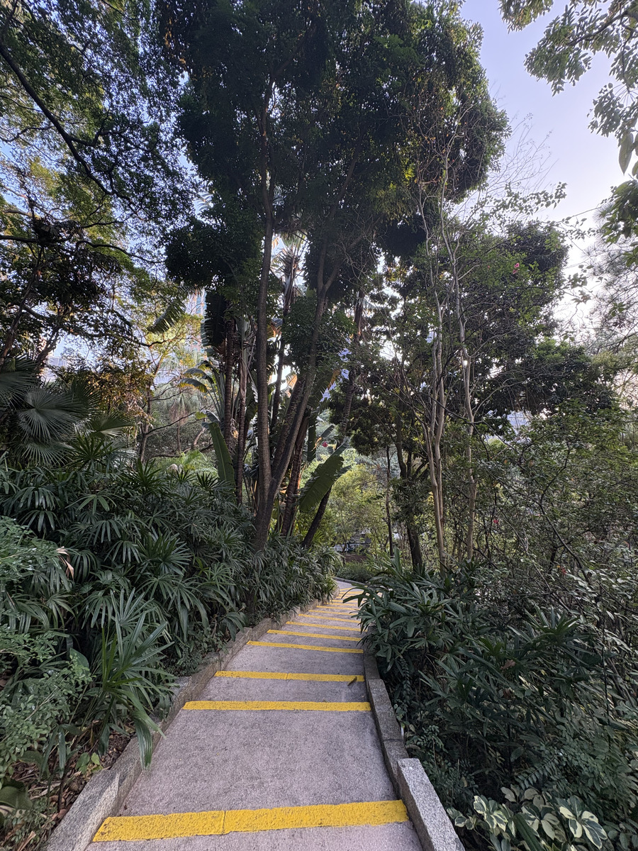 照片 香港(Hong-Kong) 尖沙咀(Tsim Sha Tsui) 2026-01 22