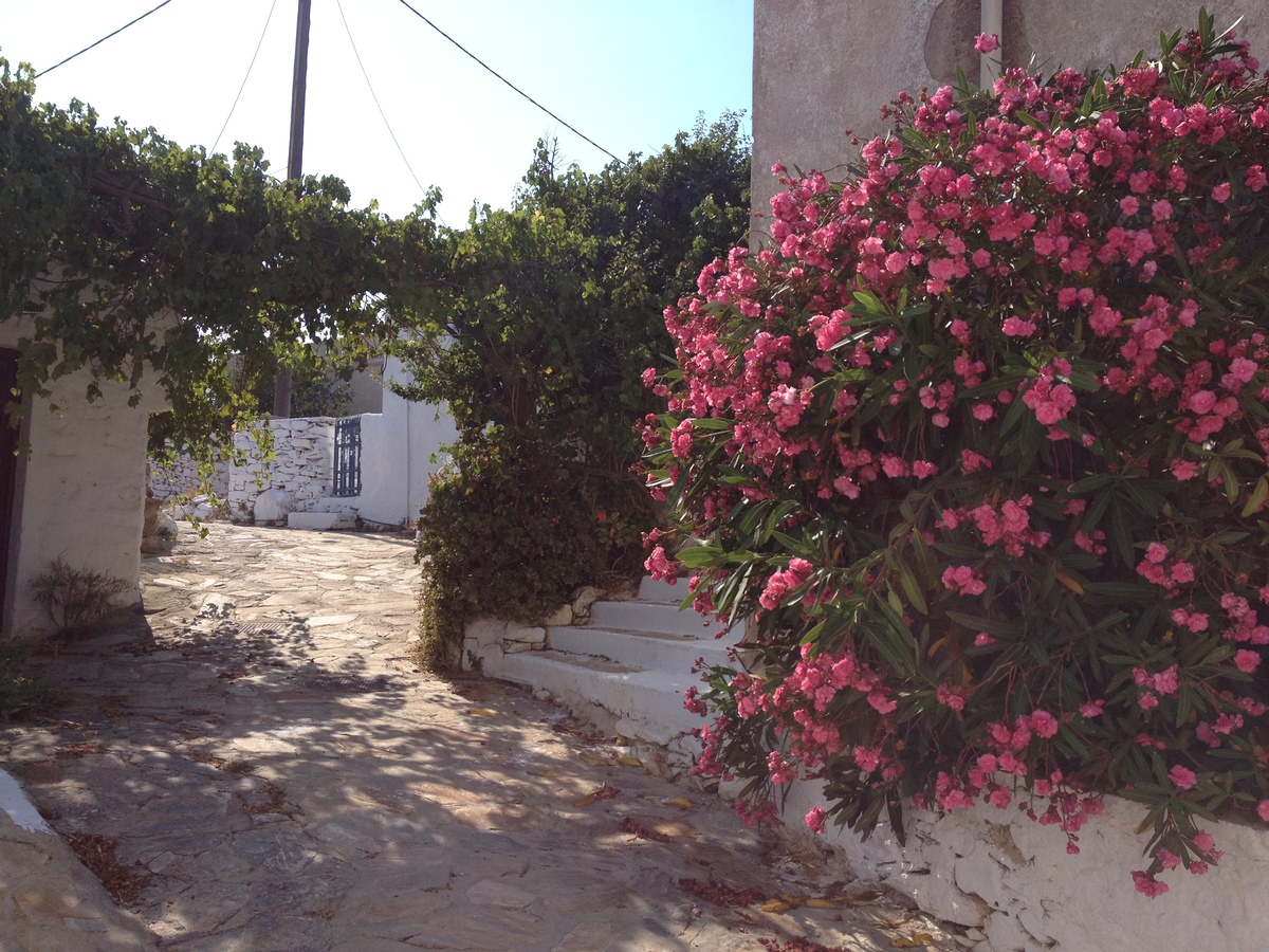 照片 希腊(Greece) 阿莫尔戈斯岛(Amorgos) 2014-07 344