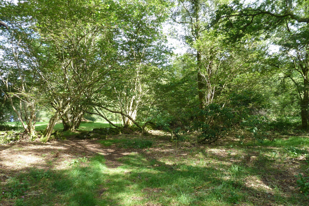 照片 英国(United Kingdom) 苏格兰(Scotland) 英奇马霍姆修道院(Inchmahome Priory) 2011-07 15