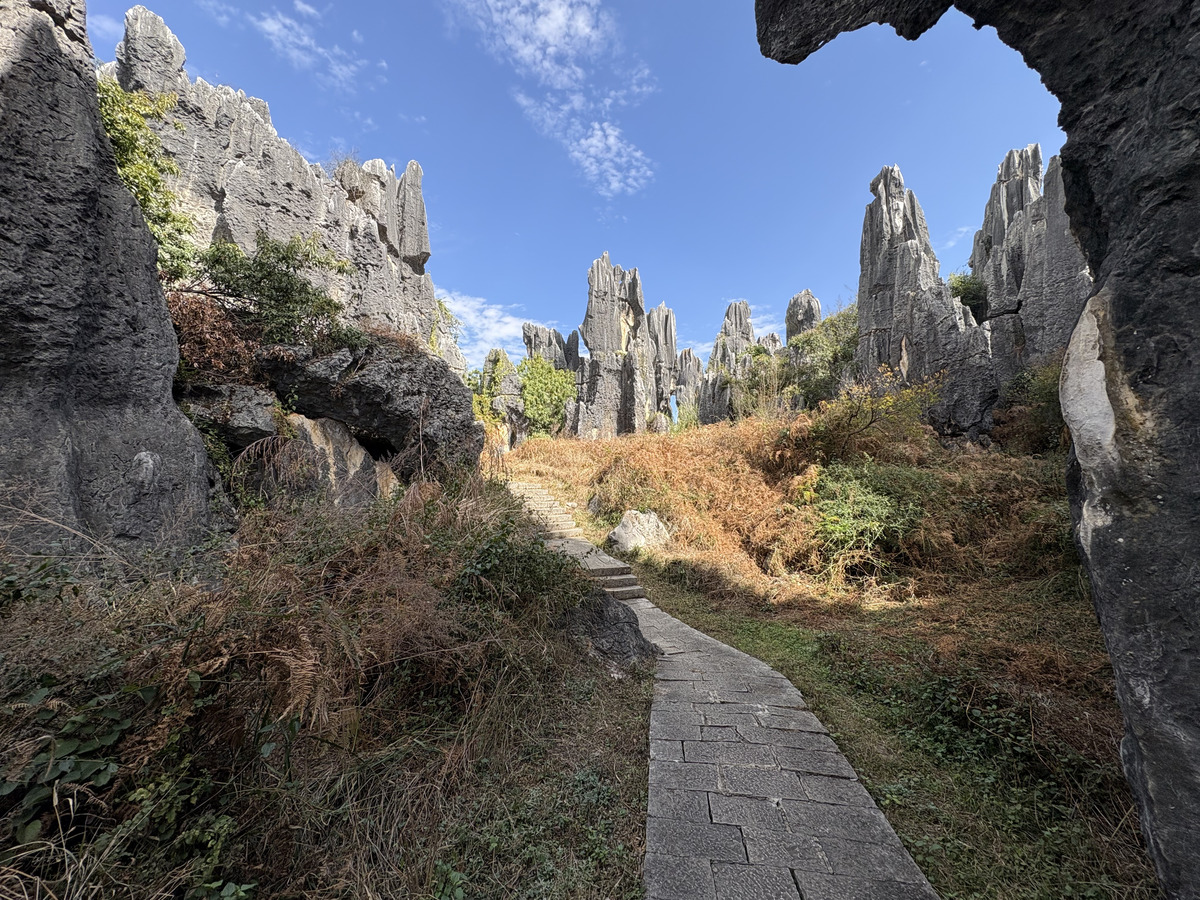 照片 中国(China) 石林(Shilin Stone Forest) 2026-01 251