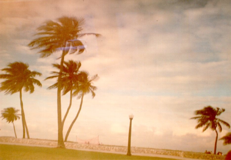 照片 美国(United States) 迈阿密海滩(Miami Beach) 1991-11 6