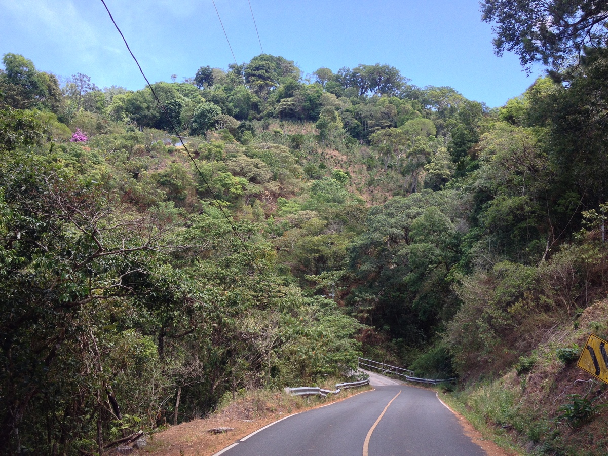 照片 巴拿马(Panama) 博克特(Boquete) 2015-03 52