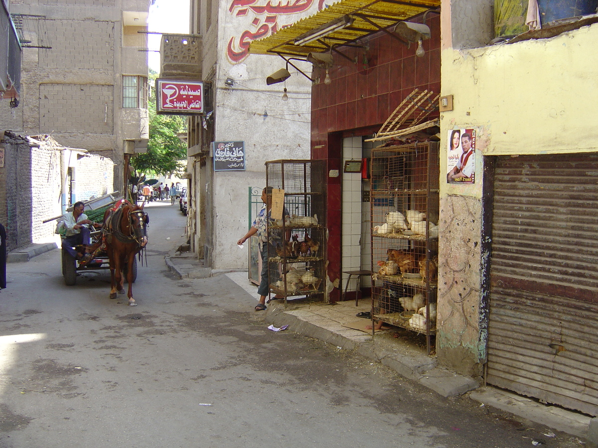 照片 埃及(Egypt) 开罗(Cairo) 2004-09 24