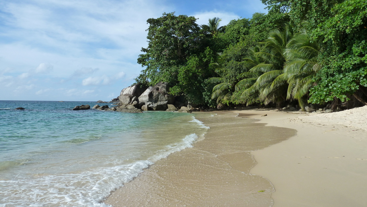 照片 塞舌尔(Seychelles) 马埃岛(Mahe) 2011-10 60