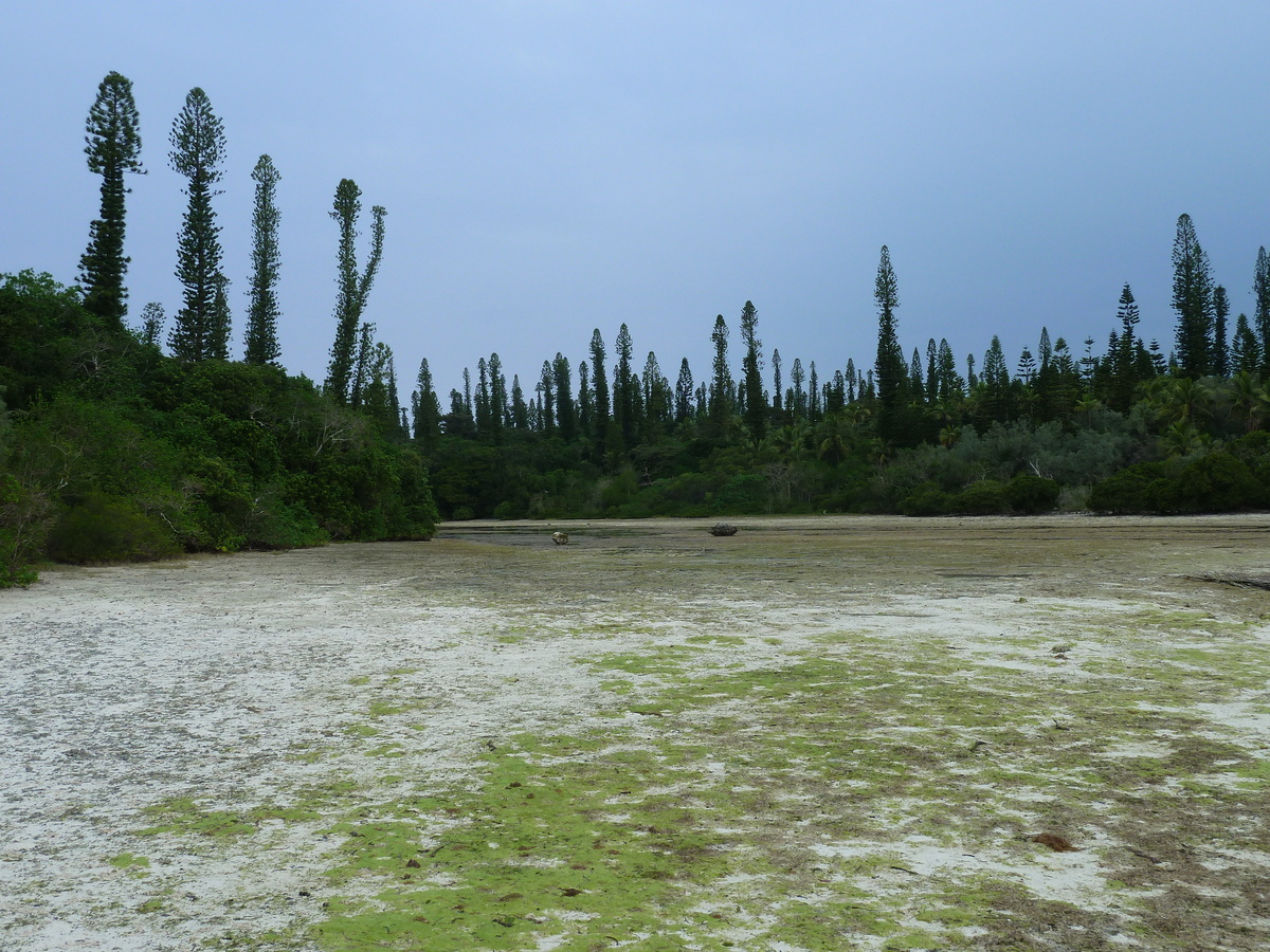 照片 新喀里多尼亚(New Caledonia) 松树岛(Ile des pins) 奥罗湾(Oro Bay) 2010-05 5