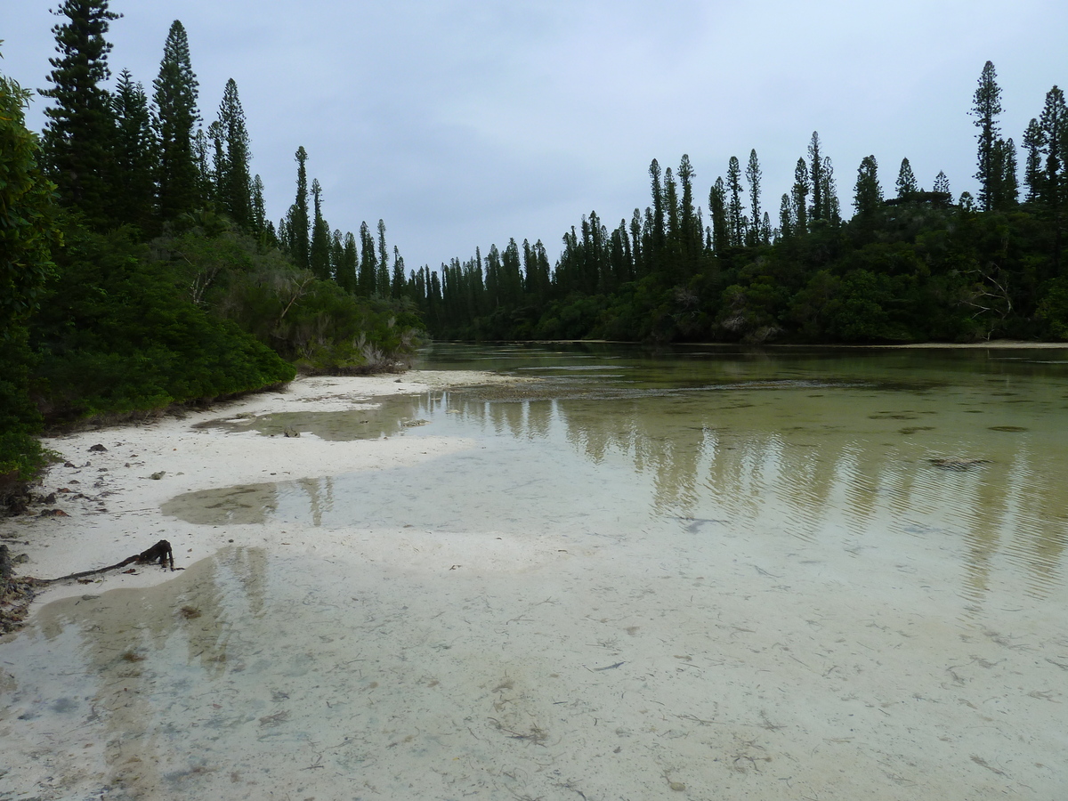 照片 新喀里多尼亚(New Caledonia) 松树岛(Ile des pins) 奥罗湾(Oro Bay) 2010-05 107