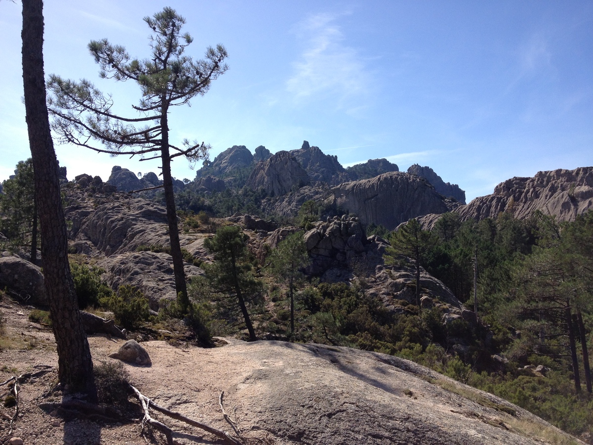 照片 法国(France) 科西嘉岛(Corsica) 奥斯佩达莱森林(L'ospedale Forest) 2012-09 16