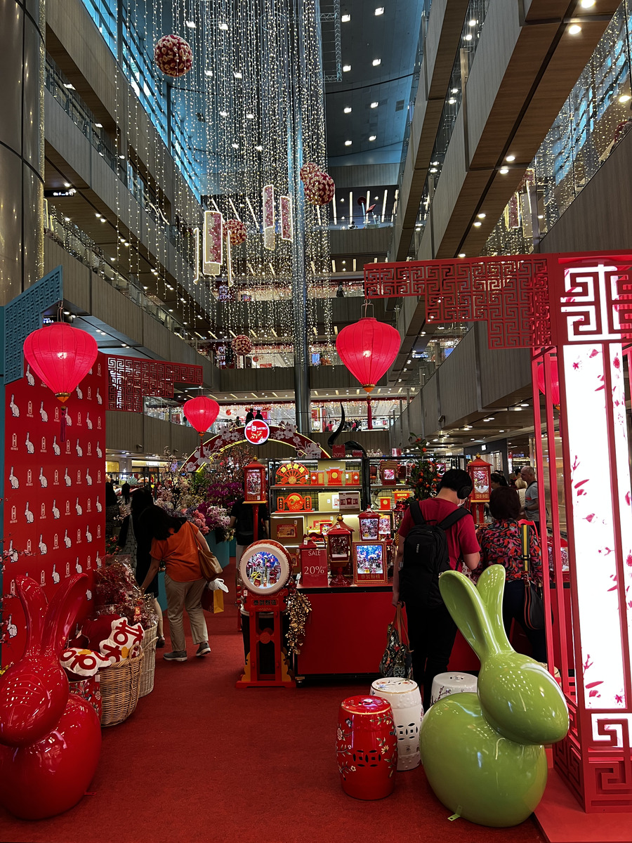 照片 新加坡(Singapore) 乌节路(Orchard road) 2023-01 1