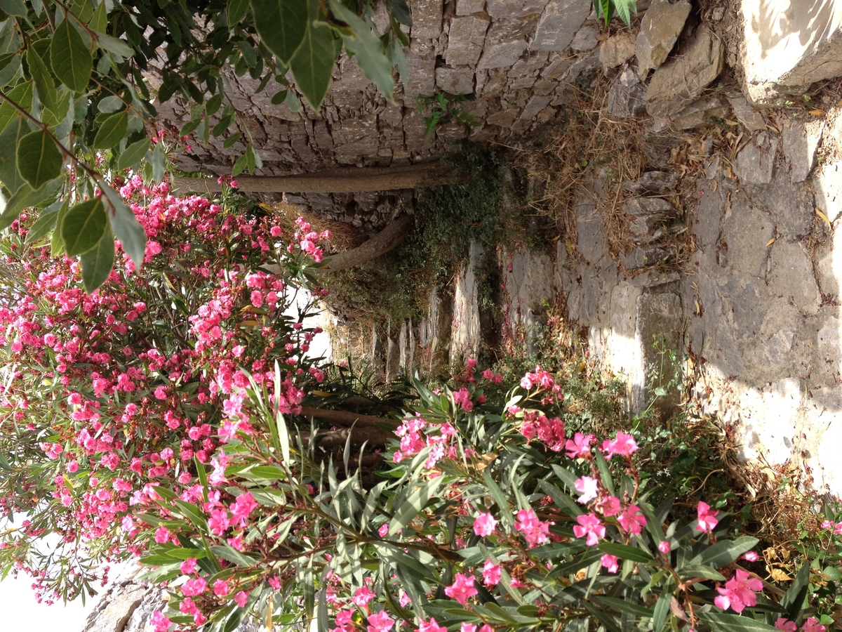 照片 希腊(Greece) 阿莫尔戈斯岛(Amorgos) 2014-07 428