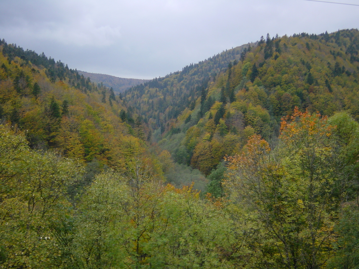 照片 罗马尼亚(Romania) 锡纳亚(Sinaia) 2003-10 12