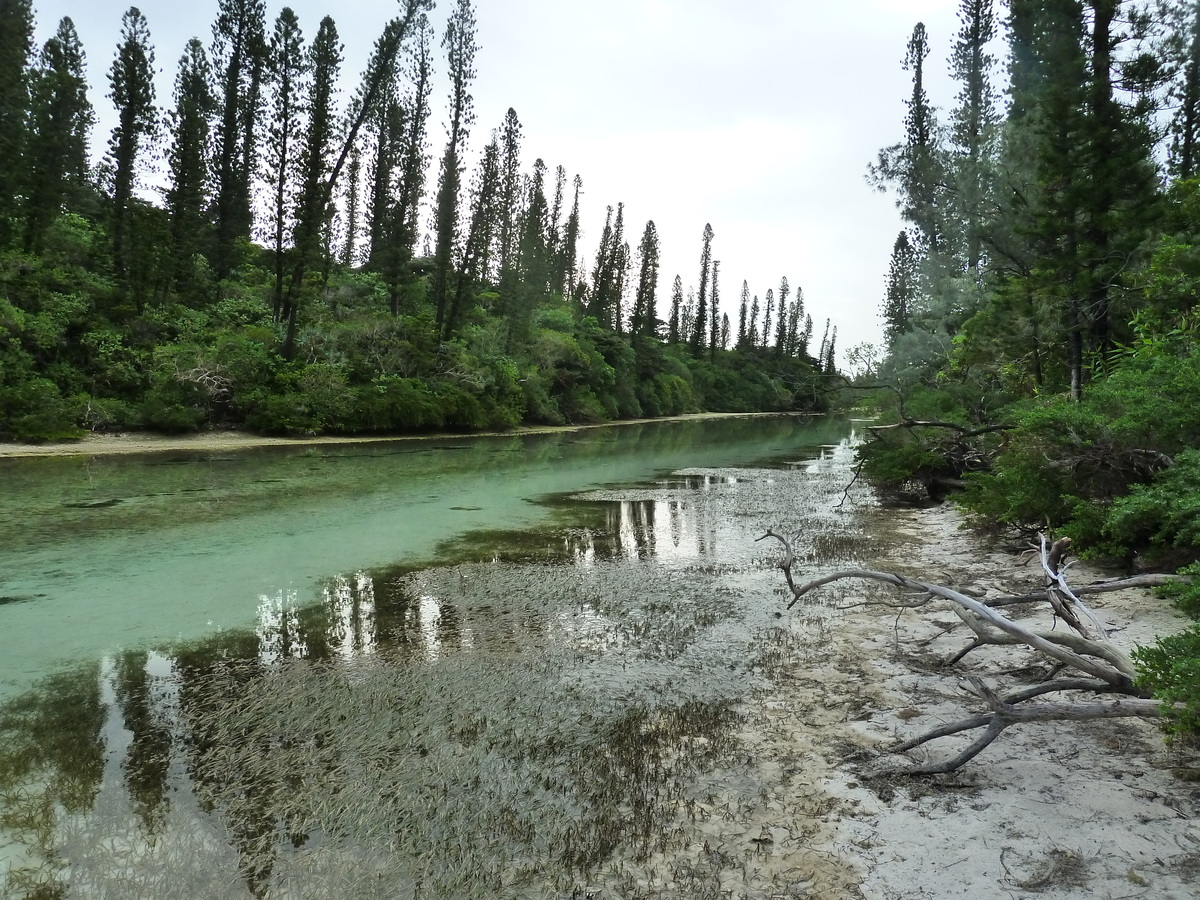 照片 新喀里多尼亚(New Caledonia) 松树岛(Ile des pins) 奥罗湾(Oro Bay) 2010-05 41