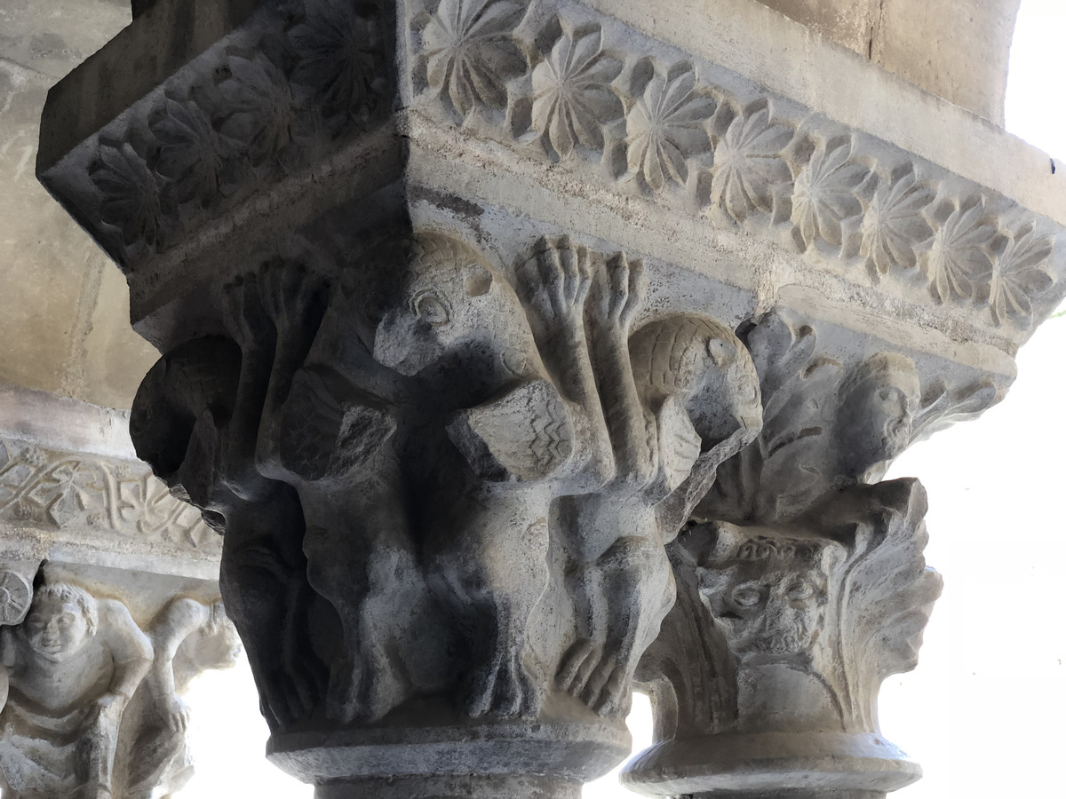 照片 法国(France) 埃尔讷(Elne) 2018-04 117