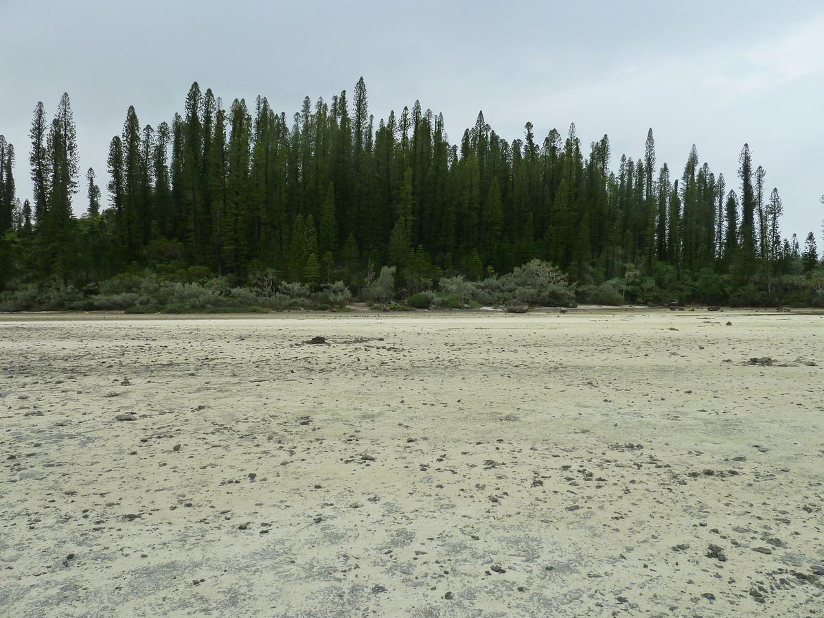 照片 新喀里多尼亚(New Caledonia) 松树岛(Ile des pins) 奥罗湾(Oro Bay) 2010-05 70