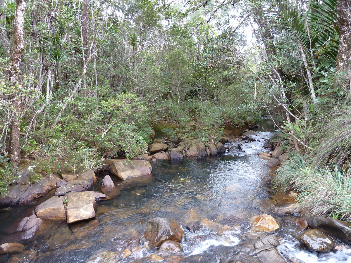 照片 新喀里多尼亚(New Caledonia) 蓝河公园(Parc de la Riviere Bleue) 2010-05 65