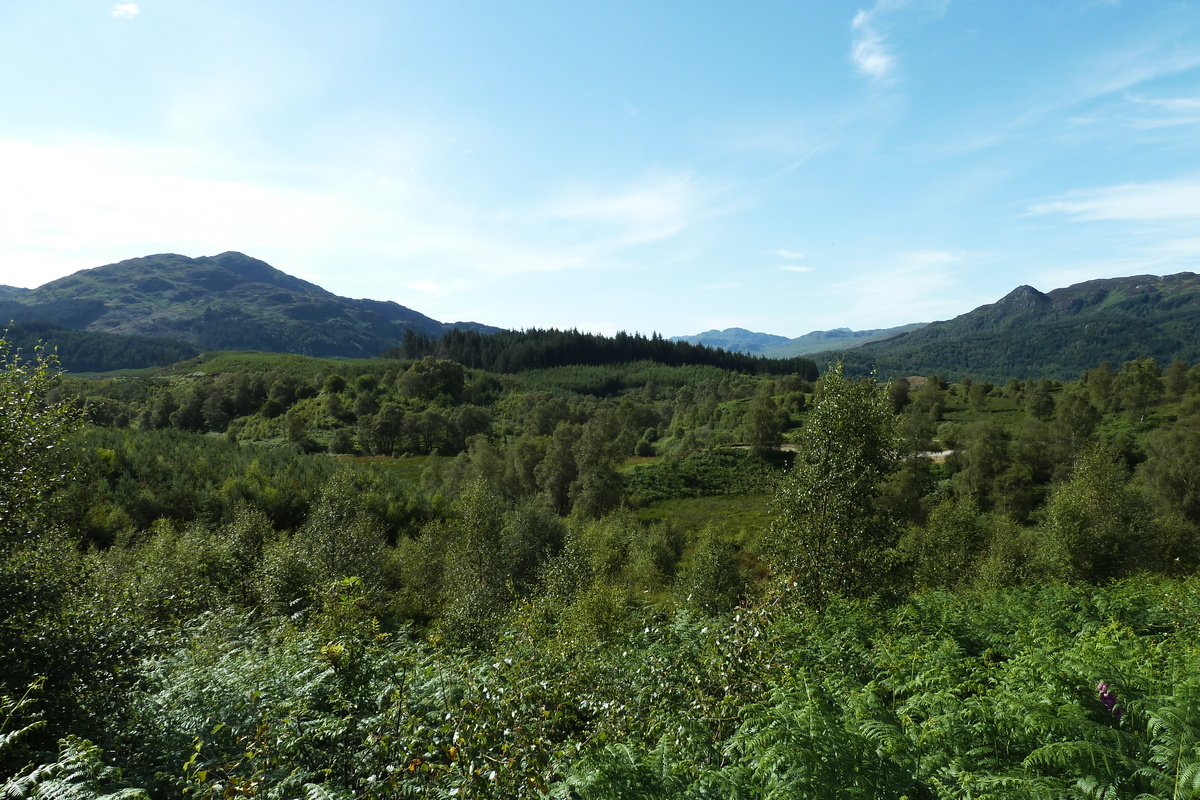 照片 英国(United Kingdom) 特罗萨克斯(The Trossachs) 2011-07 55