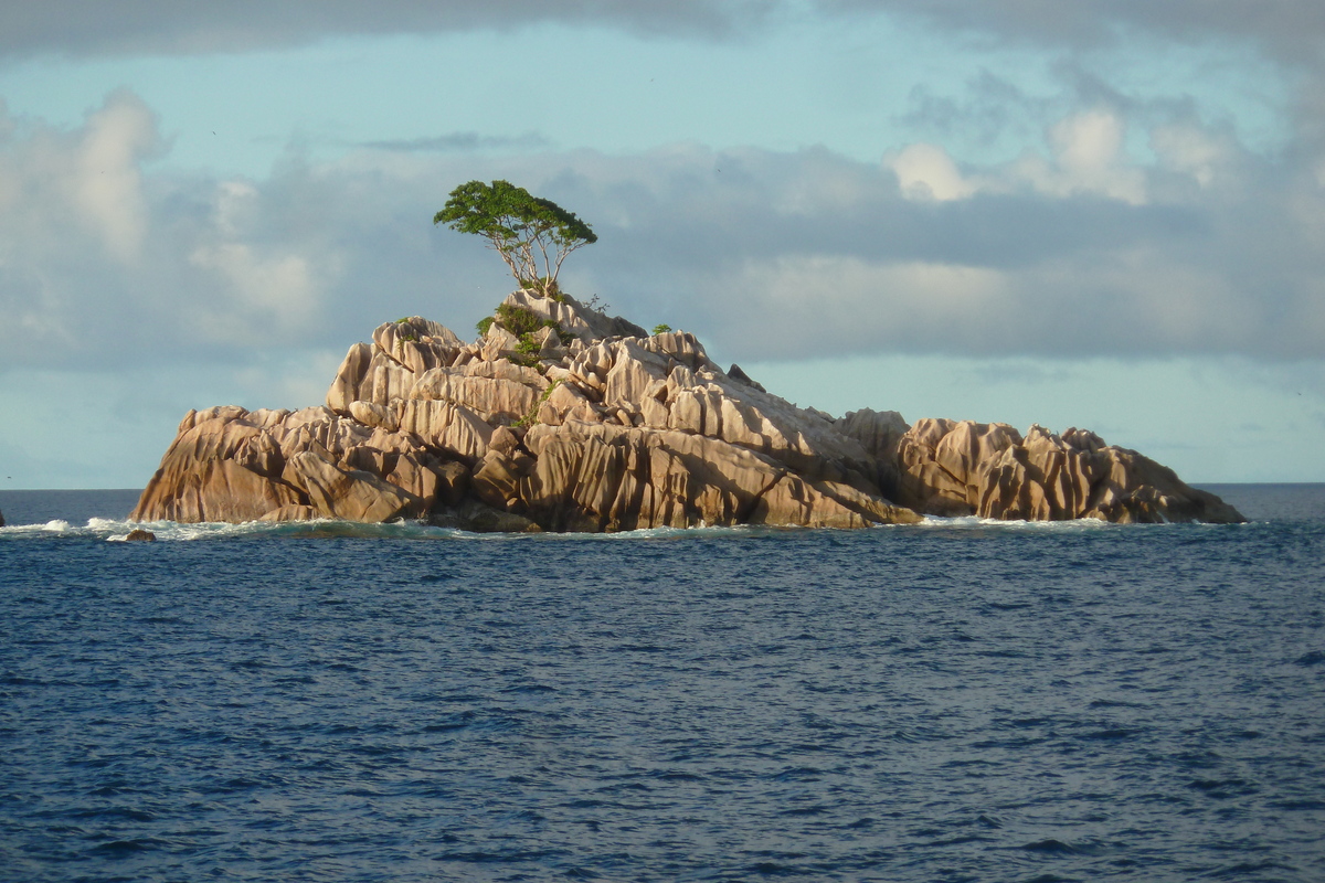 照片 塞舌尔(Seychelles) 2011-10 60
