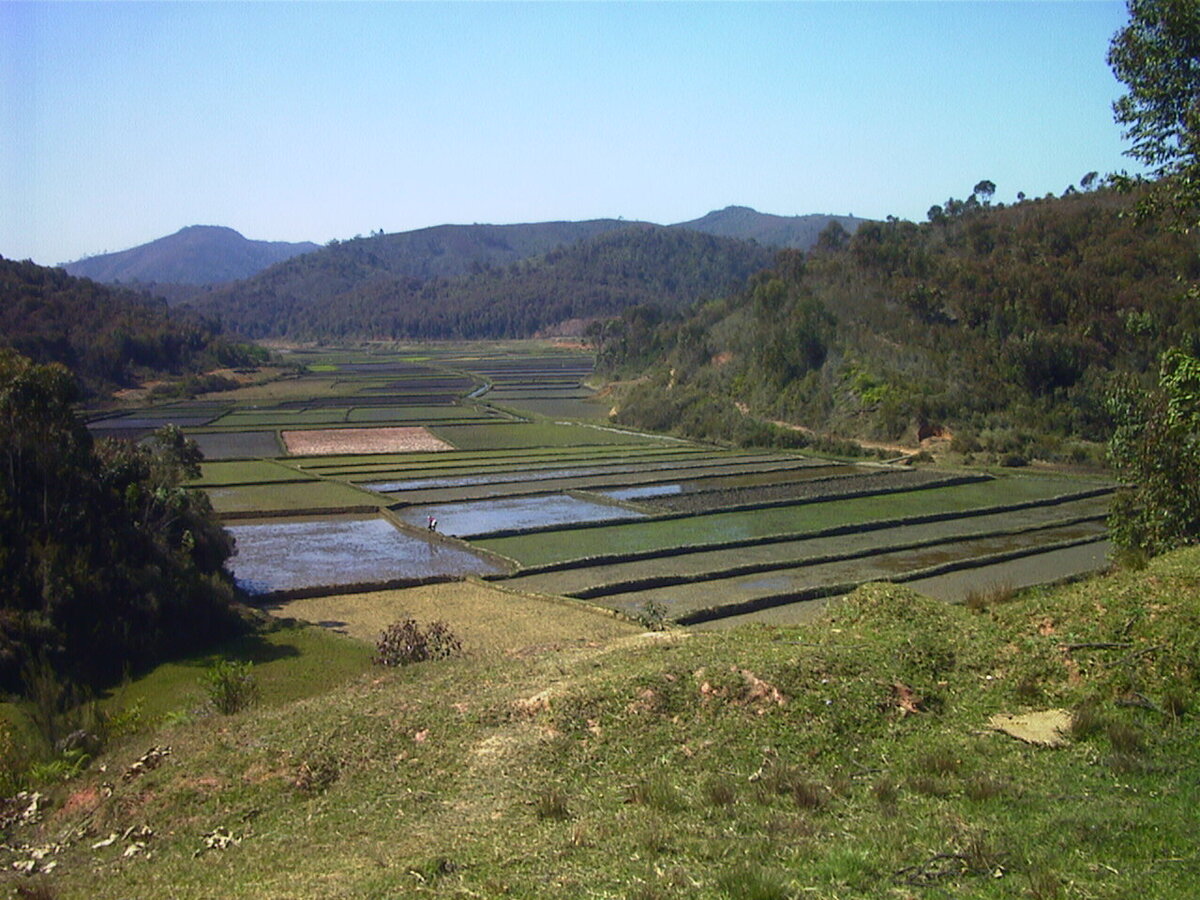 照片 马达加斯加(Madagascar) 1999-10 7