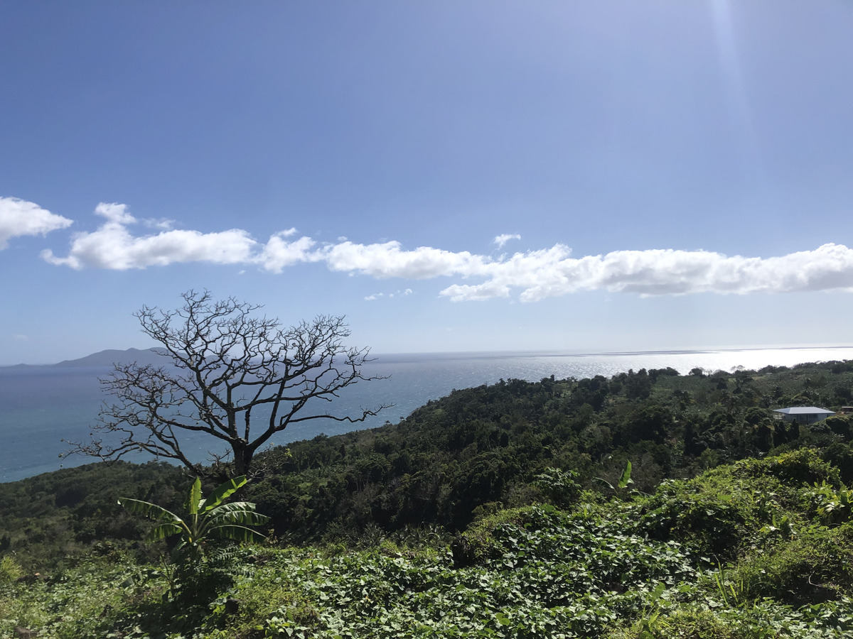 照片 瓜德罗普(Guadeloupe) 三河城(Trois Rivieres) 2021-02 4