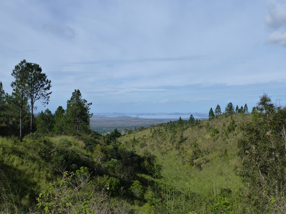 照片 新喀里多尼亚(New Caledonia) 通图塔至蒂奥公路(Tontouta to Thio road) 2010-05 50