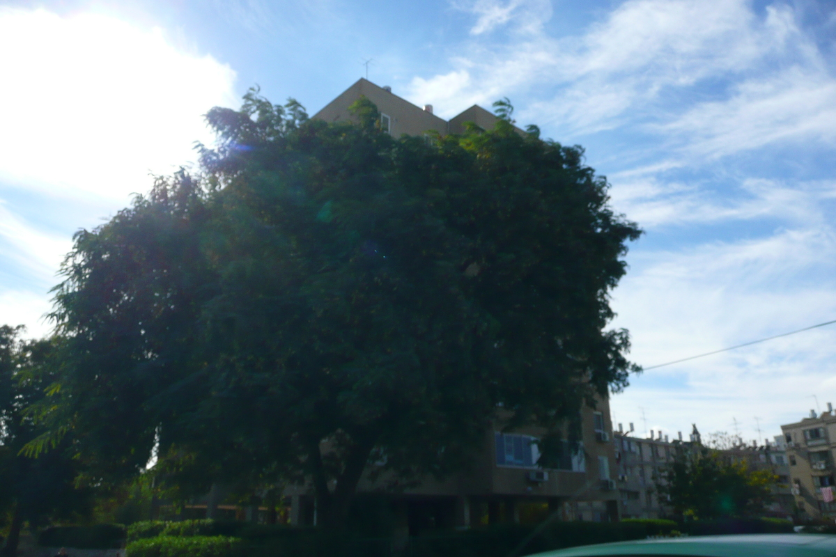照片 以色列(Israel) 贝尔谢巴(Beer Sheva) 2007-12 9